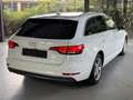 Audi A4 Avant sport-HUD-SPUR-TOT-AHK-ELK-SITZE Weiß - thumbnail 5