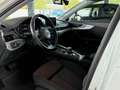 Audi A4 Avant sport-HUD-SPUR-TOT-AHK-ELK-SITZE Weiß - thumbnail 9