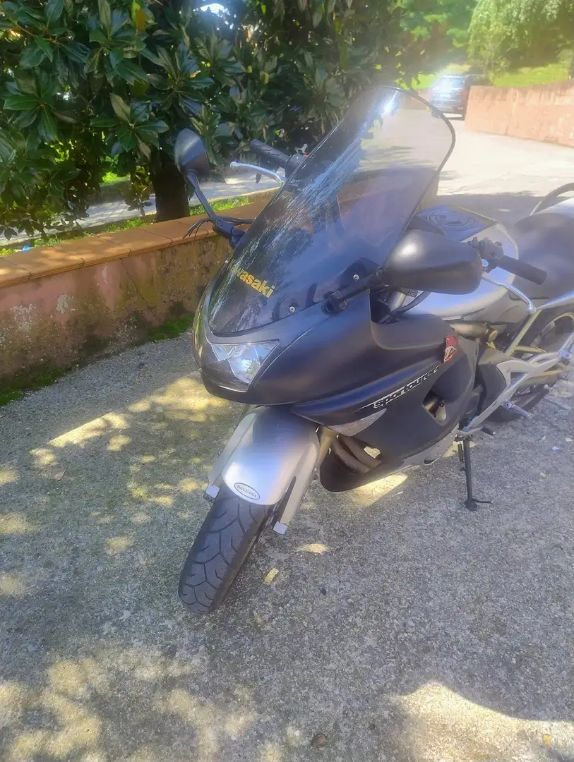 Kawasaki ER - 6 F Srebrny - 1