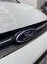 Ford C-Max C-Max II 2010 1.6 Plus 105cv Blanco - thumbnail 4