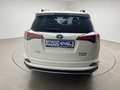 Toyota RAV 4 2.5 Hybrid 2WD Bianco - thumbnail 5
