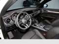 Alfa Romeo Stelvio MY22-Veloce 2.0 Turbo 16V 280 PS AT8-Q4 Schiebedac Weiß - thumbnail 16