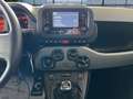Fiat Panda 1.0 FireFly S&S Hybrid Blauw - thumbnail 16
