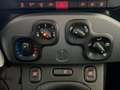 Fiat Panda 1.0 FireFly S&S Hybrid Blauw - thumbnail 27