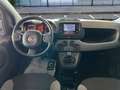 Fiat Panda 1.0 FireFly S&S Hybrid Blauw - thumbnail 14