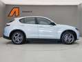 Alfa Romeo Stelvio 2.2 TD 210CV SPRINT AT8 Q4 Grigio - thumbnail 8