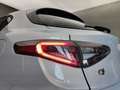 Alfa Romeo Stelvio 2.2 TD 210CV SPRINT AT8 Q4 Grigio - thumbnail 41