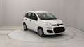Fiat Egyéb Pandina 1.0 firefly hybrid s&s 70cv Fehér - thumbnail 7