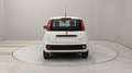 Fiat Egyéb Pandina 1.0 firefly hybrid s&s 70cv Fehér - thumbnail 4