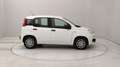 Fiat Egyéb Pandina 1.0 firefly hybrid s&s 70cv Fehér - thumbnail 6