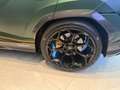Lamborghini Urus Performante - VERDE HERMES MATT - AD PERSONAM Verde - thumbnail 12