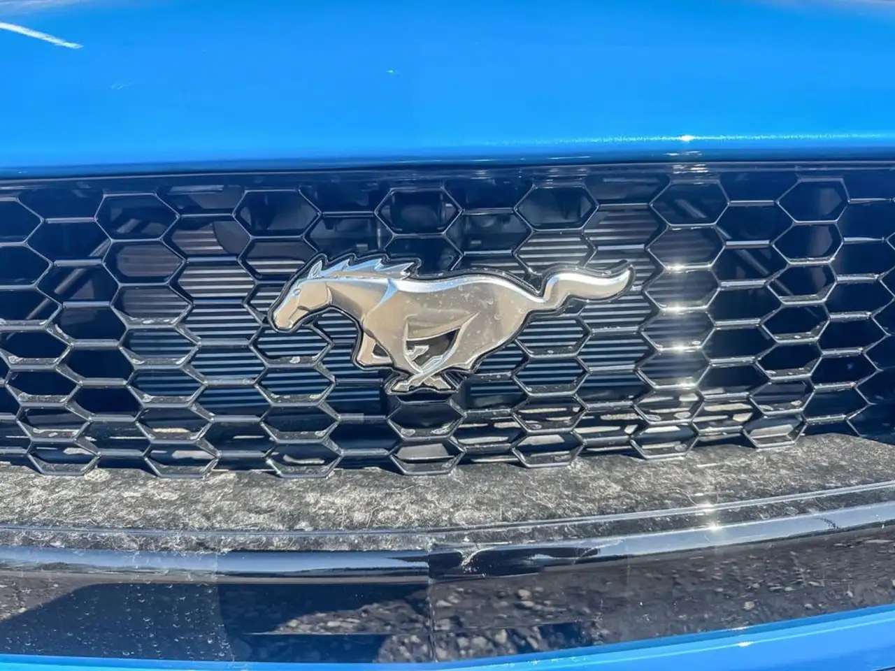 Ford Mustang снимка Ford Mustang