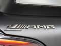 Mercedes-Benz AMG GT R Speedlegend Limited Edition built by HWA AG: no. Grau - thumbnail 13