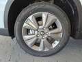 Suzuki Vitara 1.4 Mild-Hybrid 2WD GL+ NAVI+LED+SHZ Bianco - thumbnail 14