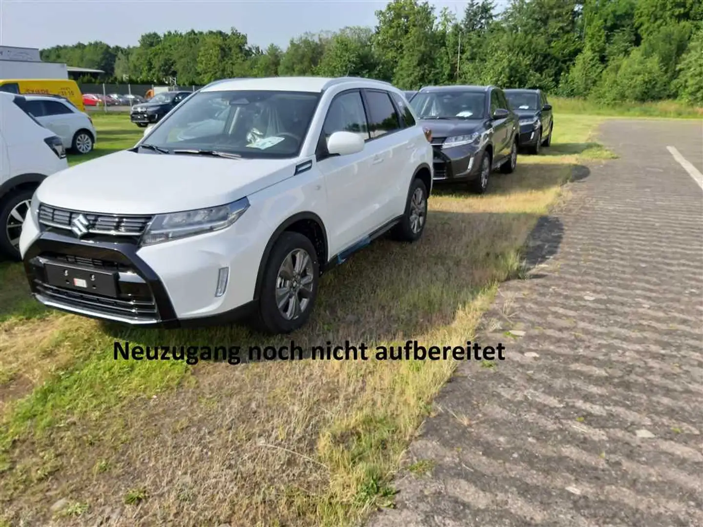 Suzuki Vitara 1.4 Mild-Hybrid 2WD GL+ NAVI+LED+SHZ Blanco - 1