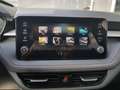 Skoda Fabia Selection 1,0TSI DSG 85KW/116PS ACC, SHZ, 16", ... Weiß - thumbnail 16