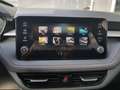 Skoda Fabia Selection 1,0TSI DSG 85KW/116PS ACC, SHZ, 16", ... Blanc - thumbnail 12