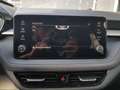 Skoda Fabia Selection 1,0TSI DSG 85KW/116PS ACC, SHZ, 16", ... Weiß - thumbnail 17