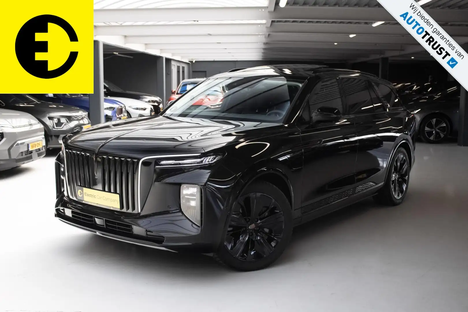 Hongqi E-HS9 Exclusive | 112KWH | SOH 97,7% | Panorama dak | In Schwarz - 1