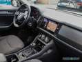 Skoda Kodiaq 2.0 TDI Clever ACC Matrix Navi Weiß - thumbnail 5