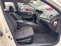 Mercedes-Benz C 220 T CDI BlueEfficiency PTS Blanco - thumbnail 14