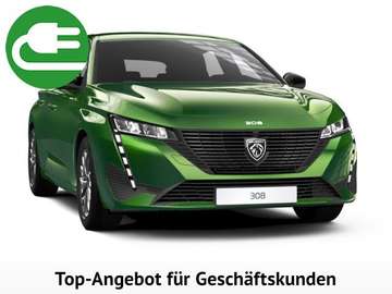 e- Bluetooth LED Klima Einparkhilfe el. Fenster