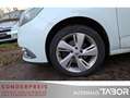 Renault Scenic 1.4 TCe 130 Dynamique LM Pano SHZ Klima - thumbnail 10