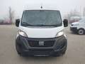 Fiat Ducato Ducato 35+ L4H2 BlueHDi 180 S&S Blanc - thumbnail 2