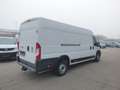 Fiat Ducato Ducato 35+ L4H2 BlueHDi 180 S&S Blanc - thumbnail 3