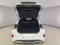 Ford Puma Puma II 2020 1.0 ecoboost h ST-Line s Bianco - thumbnail 5