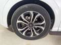 Ford Puma Puma II 2020 1.0 ecoboost h ST-Line s Bianco - thumbnail 15