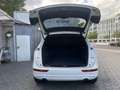 Audi Q5 2.0 TFSI S-Line Quattro**Vollausstattung** Blanc - thumbnail 15