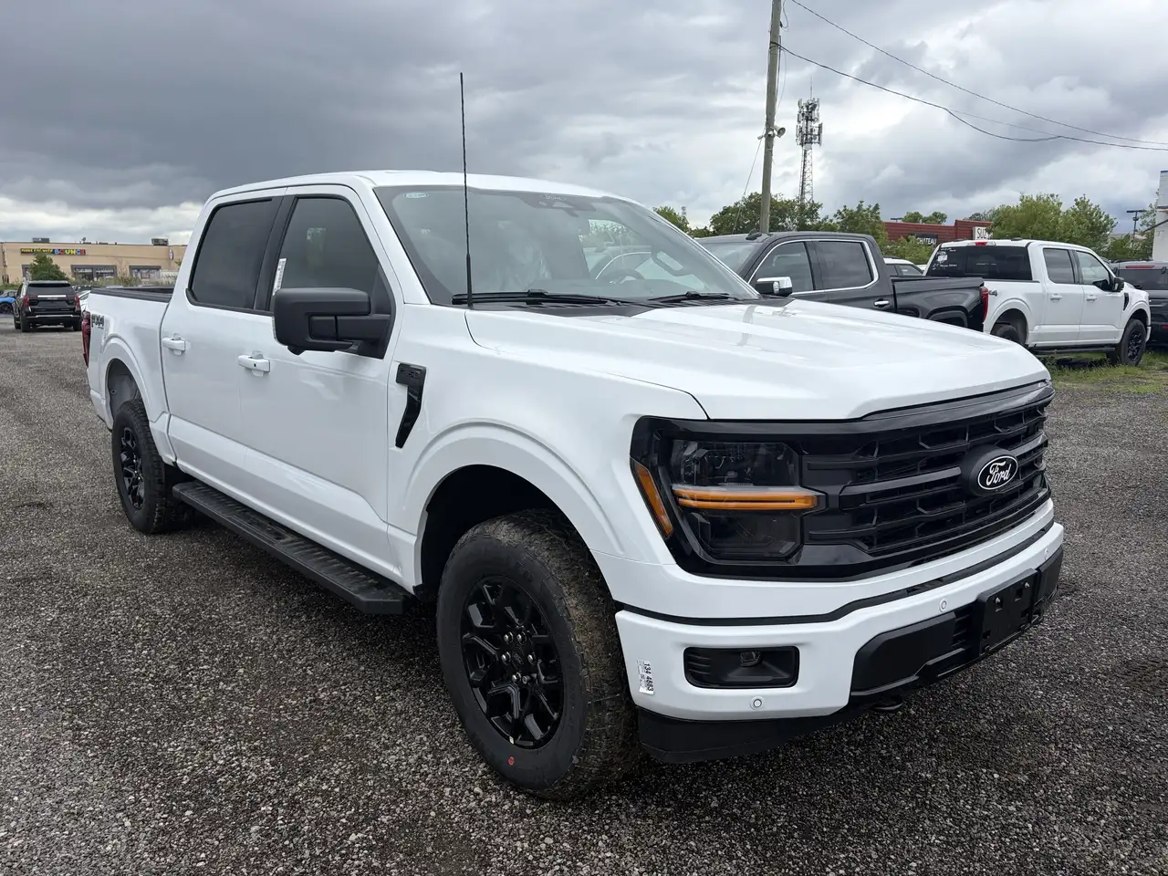 Ford F 150 photo Ford F 150