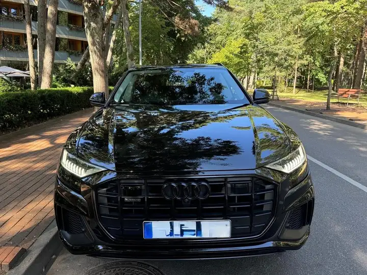 Audi Q8 55 TFSI e quattro Black LineS tronic 2019