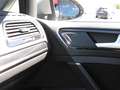 Volkswagen Golf 7ª serie Variant 2.0 TDI DSG Highline BlueMotion T Gris - thumbnail 10