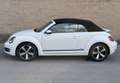 Volkswagen Beetle Cabrio 1.2 TSI Design 105 Blanco - thumbnail 3