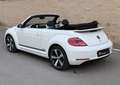 Volkswagen Beetle Cabrio 1.2 TSI Design 105 Blanco - thumbnail 7