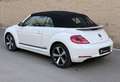 Volkswagen Beetle Cabrio 1.2 TSI Design 105 Blanco - thumbnail 4