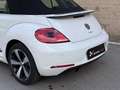 Volkswagen Beetle Cabrio 1.2 TSI Design 105 Blanco - thumbnail 6