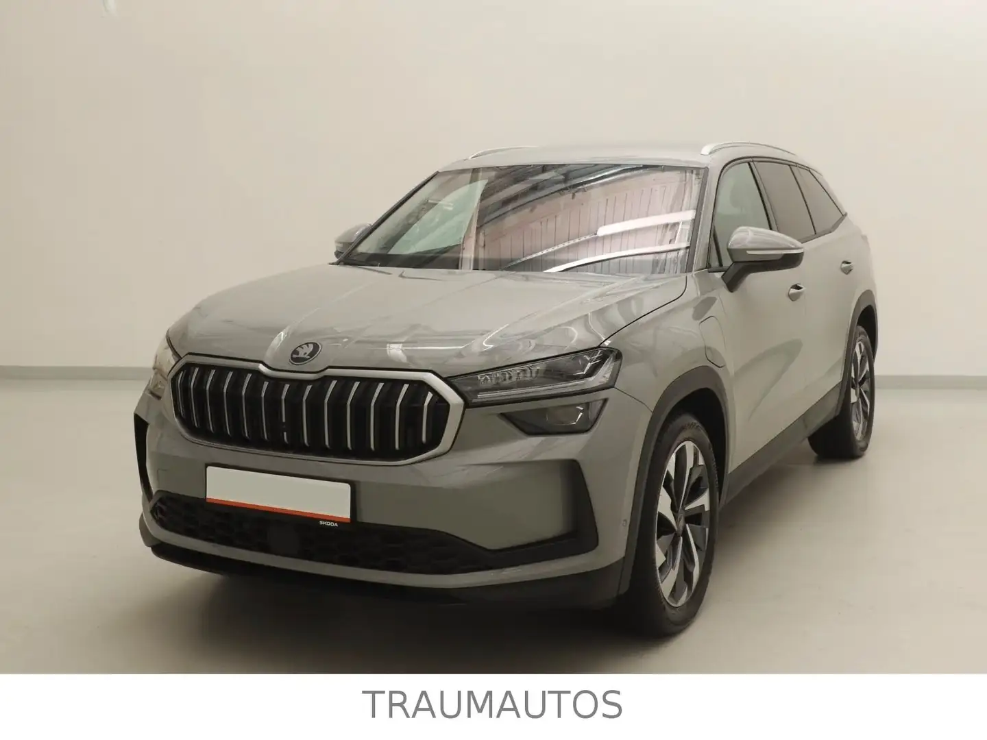Skoda Kodiaq 1.5 TSI iV Selection Exlusive*AHK* Grau - 1
