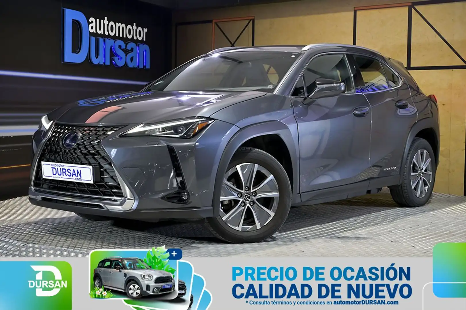 Lexus UX 300e Business Gris - 1