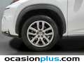 Lexus NX 300 300h Executive 4WD Tecno Blanc - thumbnail 42