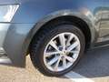 Skoda Octavia Octavia III 2017 sw 2.0 tdi Executive 150cv dsg Grigio - thumbnail 5