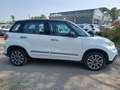 Fiat 500L 1.3 Multijet 95 CV Cross Bianco - thumbnail 4
