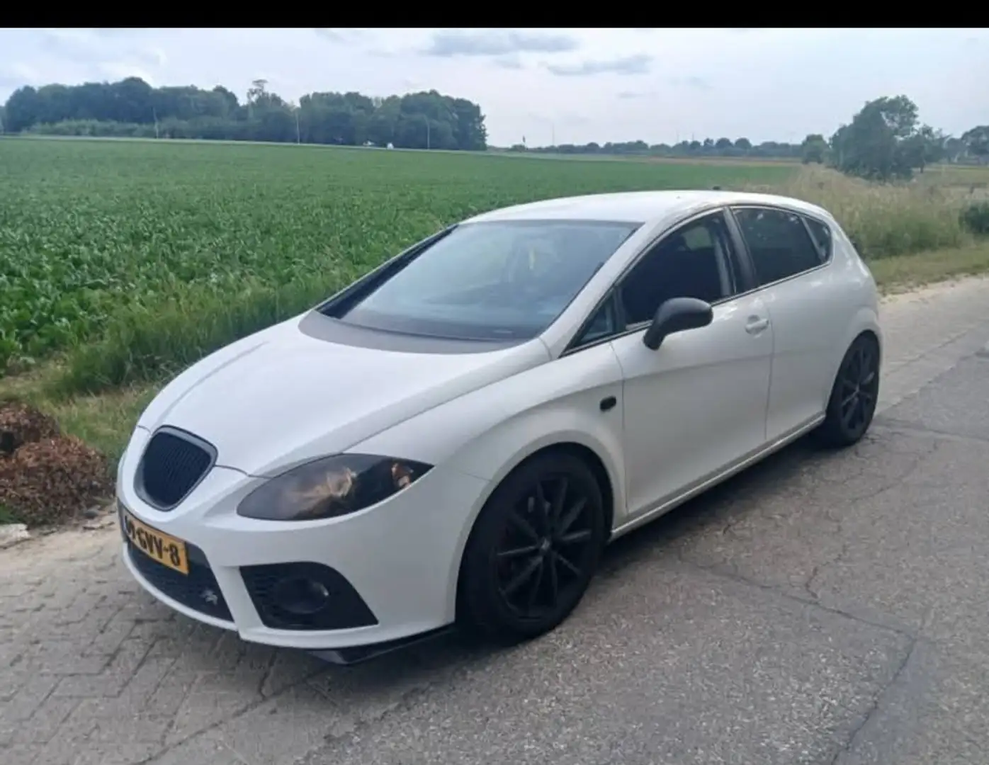 SEAT Leon Leon 2.0 TFSI FR REBUILD Bianco - 1