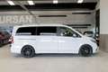 Mercedes-Benz V 250 250d Largo Avantgarde - thumbnail 19