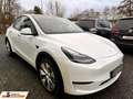 Tesla Model Y AWD Dual Motor AHK/ 1.Hand/U-Frei Weiß - thumbnail 4