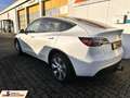 Tesla Model Y AWD Dual Motor AHK/ 1.Hand/U-Frei Weiß - thumbnail 6