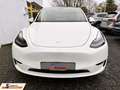 Tesla Model Y AWD Dual Motor AHK/ 1.Hand/U-Frei Weiß - thumbnail 3