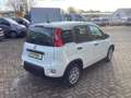Fiat Panda Pandina 1.0 GSE 52kW Hybrid Klima, DAB Weiß - thumbnail 4